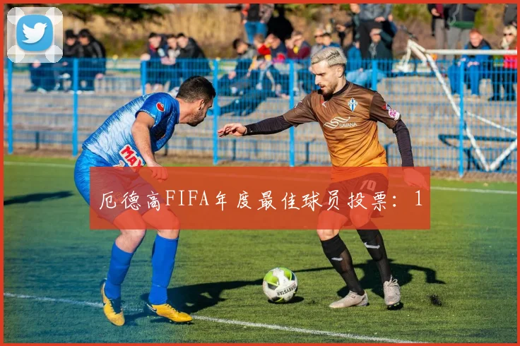 厄德高FIFA年度最佳球员投票：1