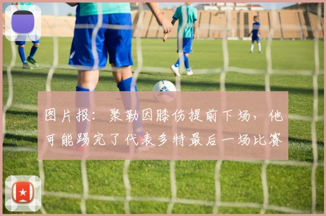 图片报：聚勒因膝伤提前下场，他可能踢完了代表多特最后一场比赛